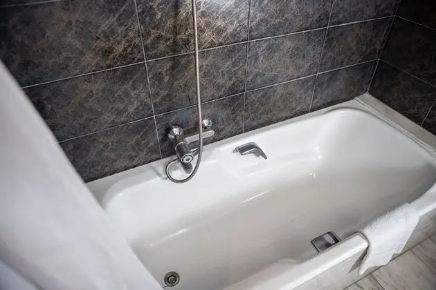 Deluxe Tek Büyük Yataklı Oda (1 pax)