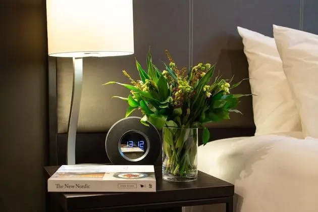 Superior Oda, 1 En Büyük (King) Boy Yatak (North)