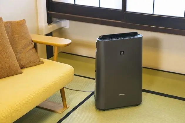 Standard Oda, Sigara İçilmez, Özel Banyo (30sqm, Japanese-Style, Room Only)