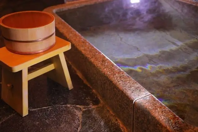 Traditional Oda, Sigara İçilmez, Ortak Banyo (Breakfast, Hot Spring 16:00-17:50)