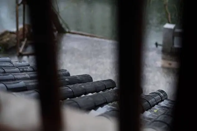 Deluxe Süit, Sigara İçilmez (Nishi, Dinner served in the Room)