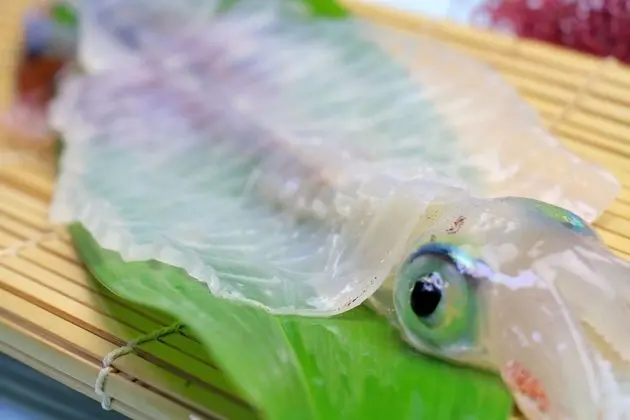 Traditional Oda (Japanese Style for 4 Guests)