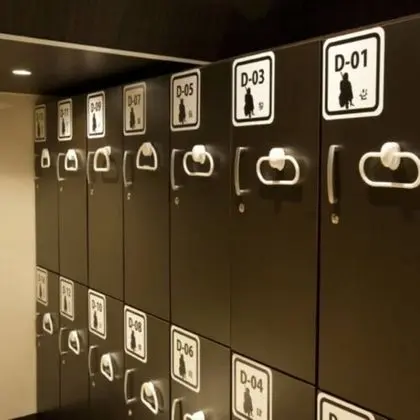 Ortak Ranzalı Oda