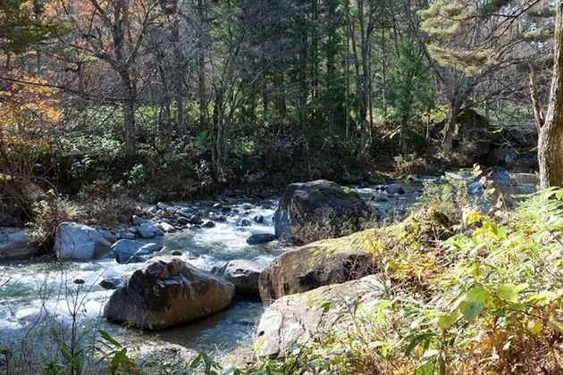 Traditional Oda, Sigara İçilmez (Japanese, Villa, Kariyasu/Kuraiyama)