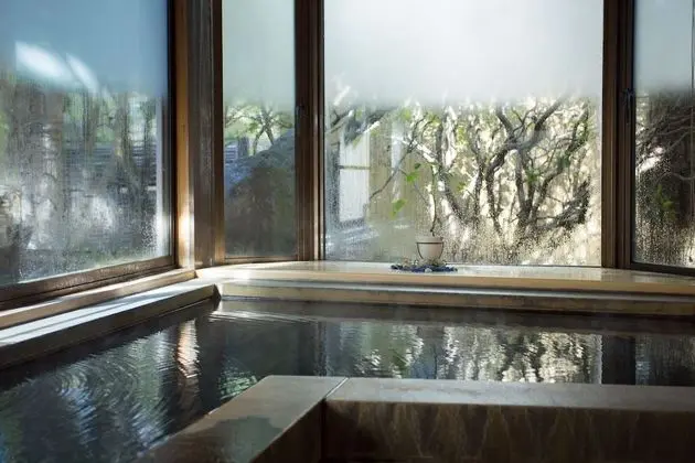 Traditional Oda, Özel Banyo (with Private Bath, For 7 y/o and up)