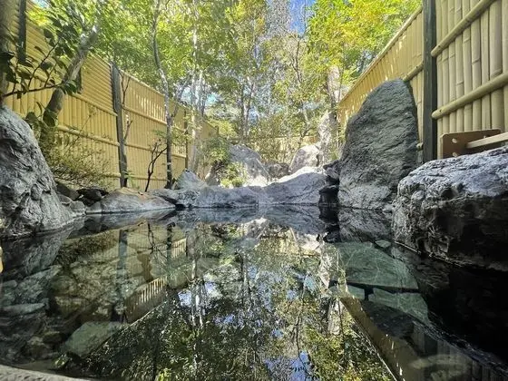 Traditional İki Ayrı Yataklı Oda, Bahçe Manzaralı (Japanese Style with Hot Spring Bath)