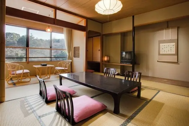 Traditional Oda, Sigara İçilebilir (10 tatami mats)
