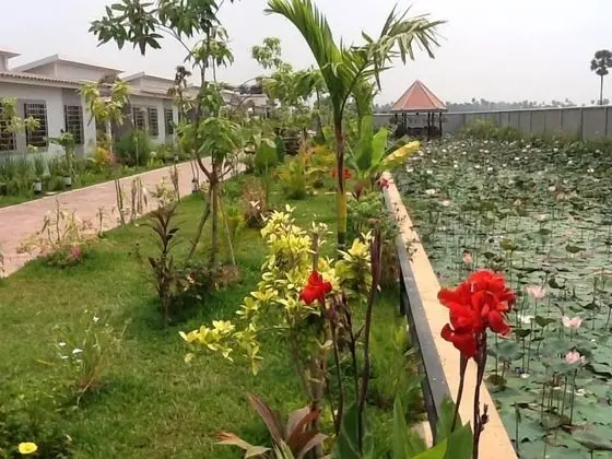 Family Bungalov