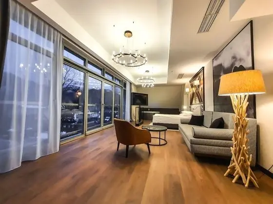 Executive Apart Daire, 1 Yatak Odası