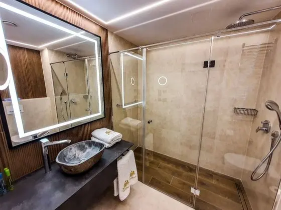 Executive Apart Daire, 1 Yatak Odası