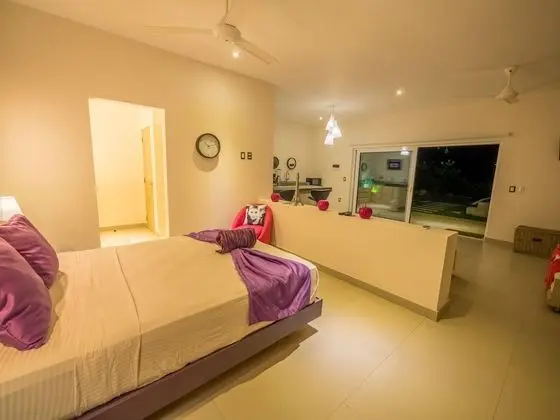 Deluxe Çatı Katı (Loft), 1 Yatak Odası, Sigara İçilebilir, Okyanus Manzaralı