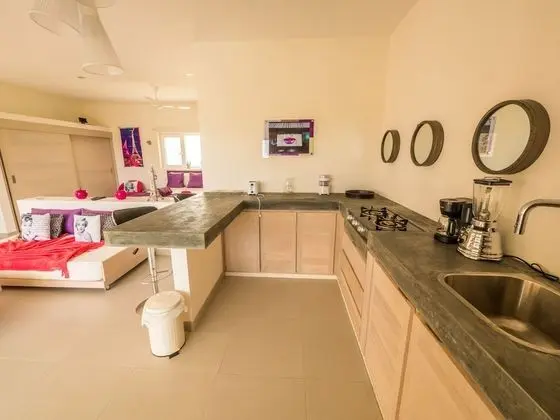 Deluxe Çatı Katı (Loft), 1 Yatak Odası, Sigara İçilebilir, Okyanus Manzaralı