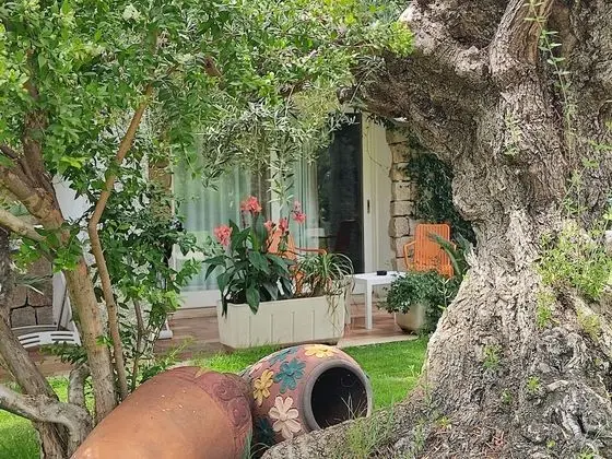 Classic Tek Büyük Yataklı Oda