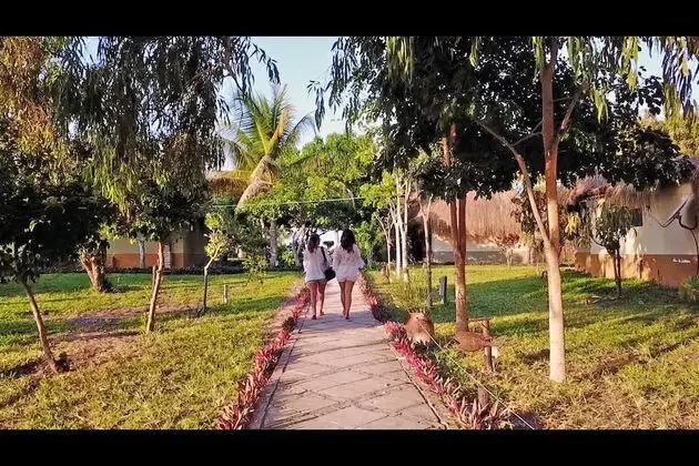 Odadan manzara