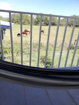 Family Stüdyo