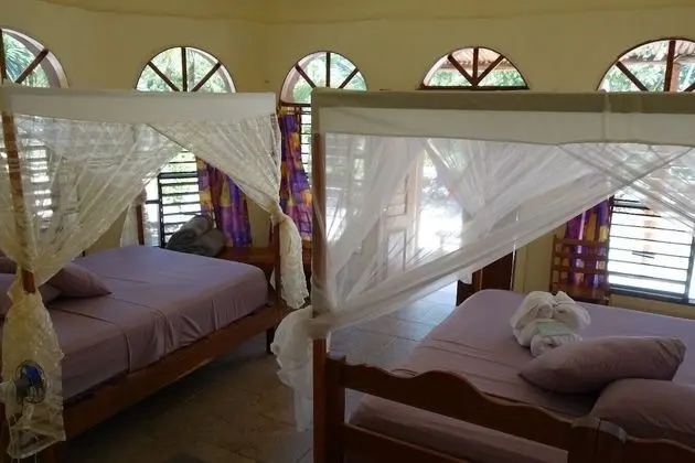 Comfort Kulübe