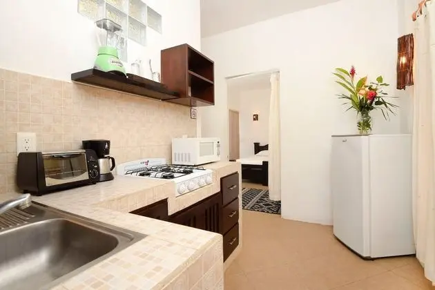 Apart Daire, 1 Yatak Odası (Private Kitchen)