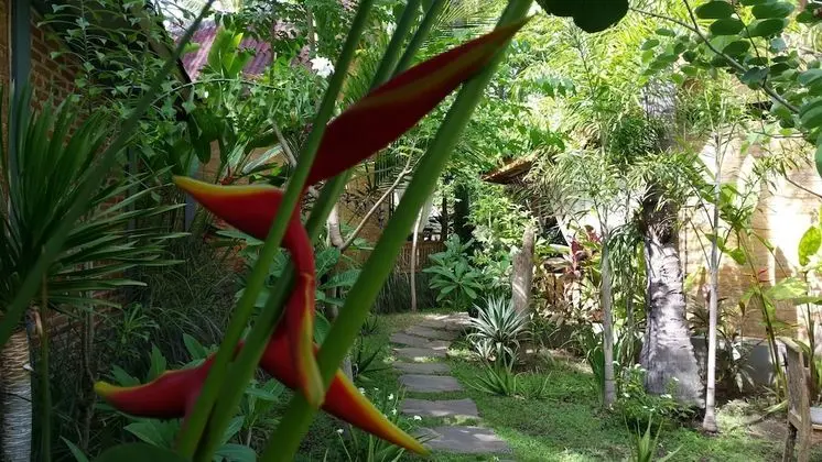 Superior Villa, 1 Yatak Odası