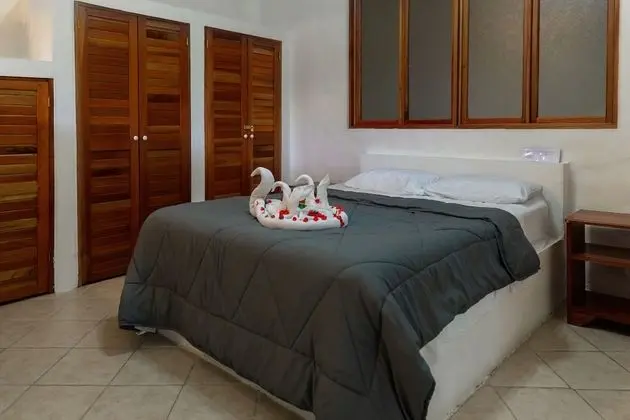 Junior Villa, 1 Yatak Odası