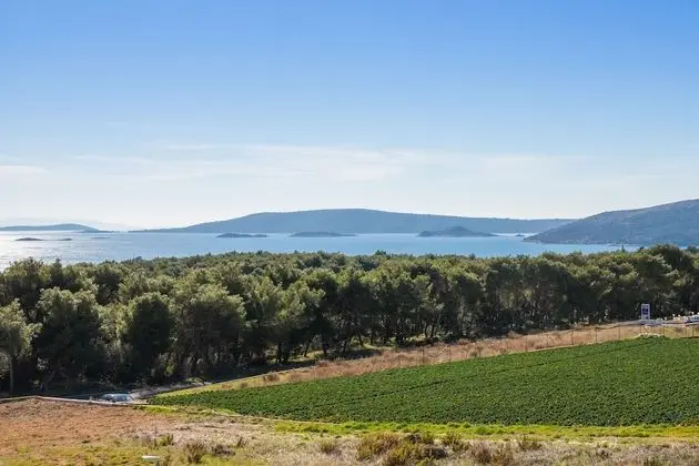 Luxury Villa, Deniz Manzaralı (Terza)