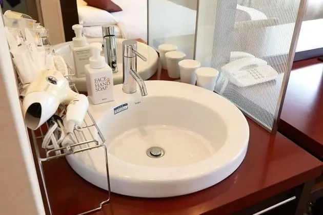 Standard Tek Büyük Yataklı Oda, Sigara İçilmez