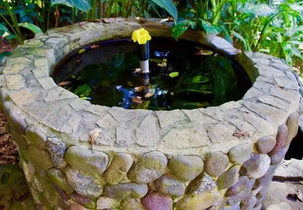Ceiba Tree Lodge