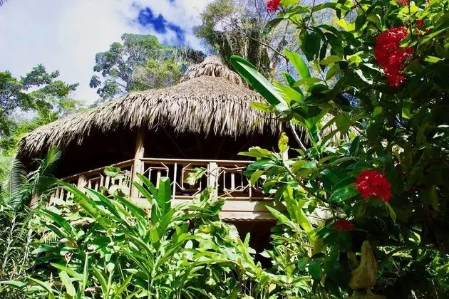 Ceiba Tree Lodge