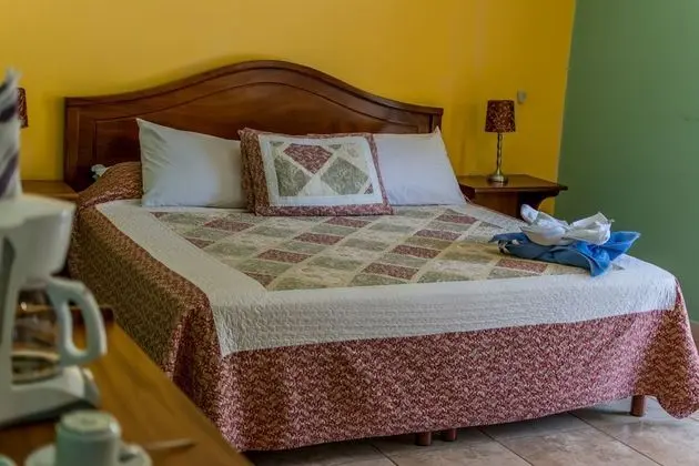 Standard Tek Büyük Yataklı Oda, 1 En Büyük (King) Boy Yatak, Sigara İçilmez