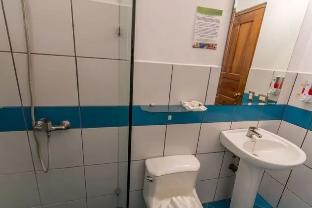 Standard Tek Büyük Yataklı Oda, 1 En Büyük (King) Boy Yatak, Sigara İçilmez