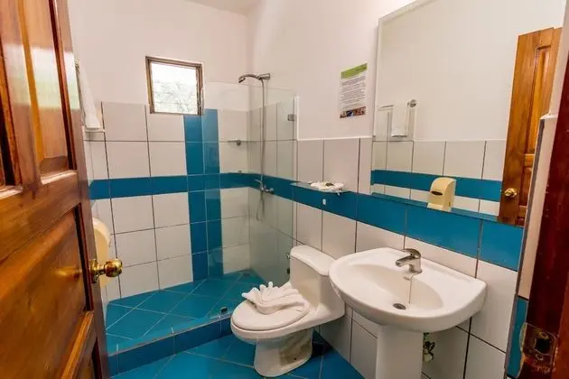 Standard Tek Büyük Yataklı Oda, 1 En Büyük (King) Boy Yatak, Sigara İçilmez