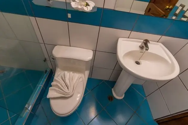 Standard Tek Büyük Yataklı Oda, 1 En Büyük (King) Boy Yatak, Sigara İçilmez