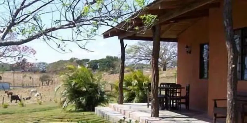 Apart Daire, 1 Büyük (Queen) Boy Yatak