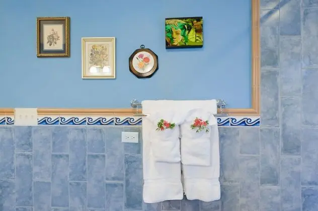 Premium Süit, 1 En Büyük (King) Boy Yatak, Okyanus Manzaralı (Jacuzzi)