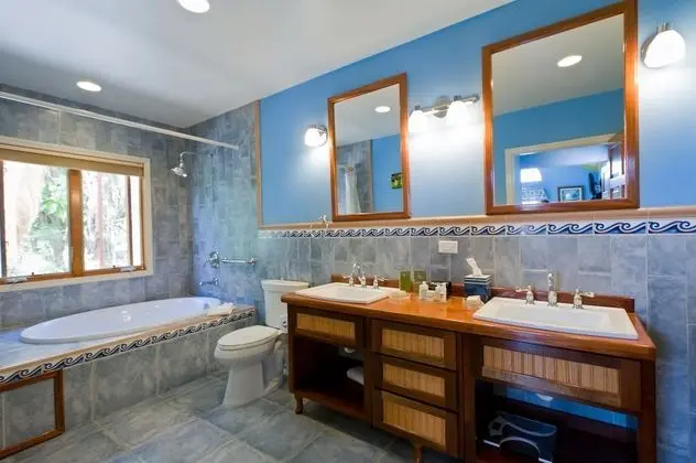 Premium Süit, 1 En Büyük (King) Boy Yatak, Okyanus Manzaralı (Jacuzzi)
