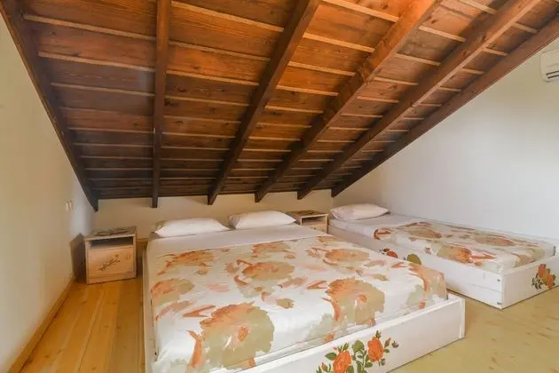 Traditional Villa (Zoi)