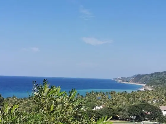 Panoramic Stüdyo Süit