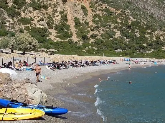 Ev, 1 Yatak Odası, Balkon