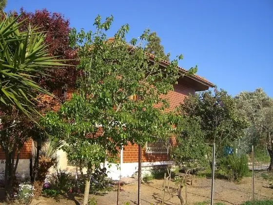 Ev, 2 Yatak Odası, Engellilere Uygun, Teras