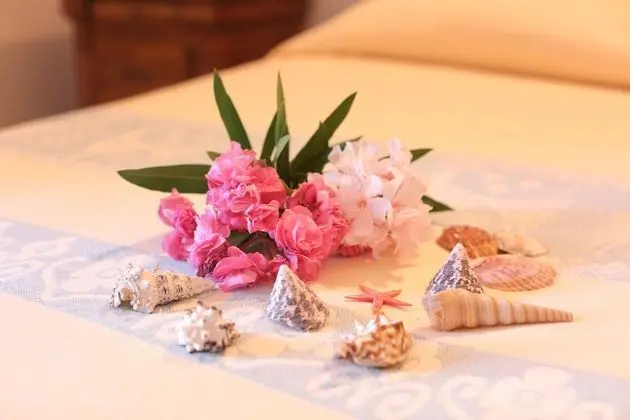 Superior Tek Büyük veya İki Ayrı Yataklı Oda