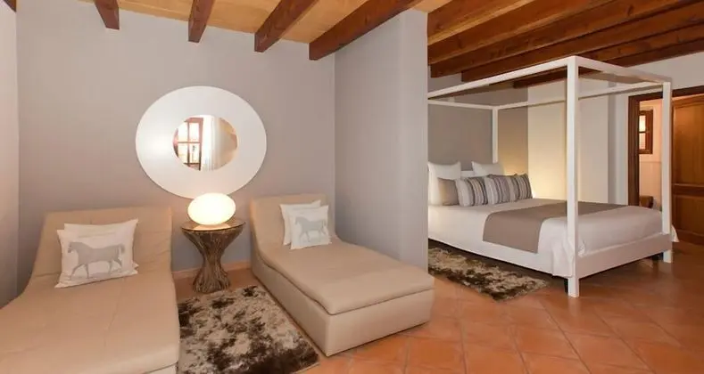 Superior Apart Daire, Teras (Suite)