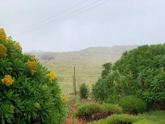 Executive Süit, Sigara İçilmez