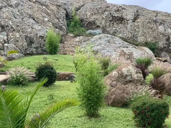 Superior Süit, 1 En Büyük (King) Boy Yatak, Sigara İçilmez