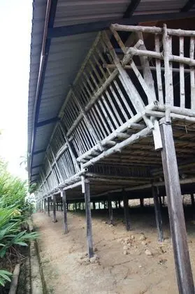 Üç Kişilik Oda (Long House)
