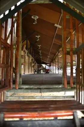 Üç Kişilik Oda (Long House)