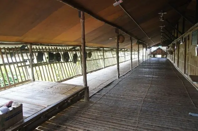 Üç Kişilik Oda (Long House)