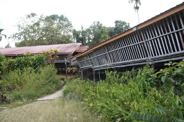 Üç Kişilik Oda (Long House)