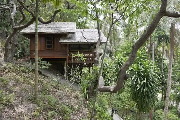 Family Bungalov