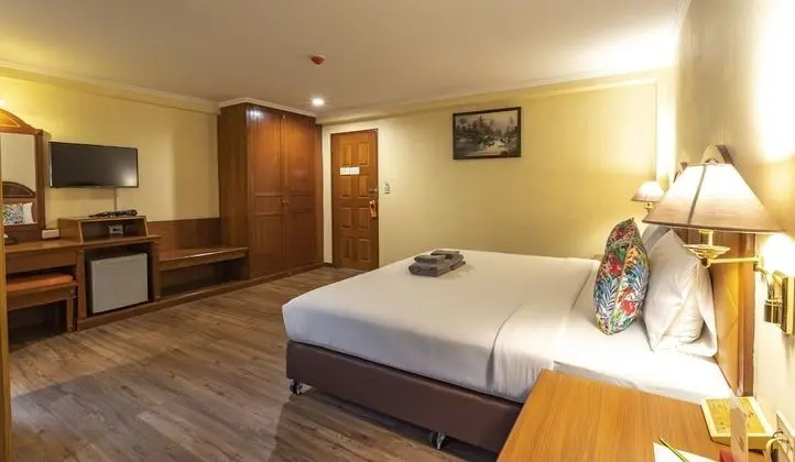 Superior Tek Büyük Yataklı Oda