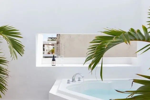 Çatı Katı Süiti (Penthouse) (Playa del Carmen)