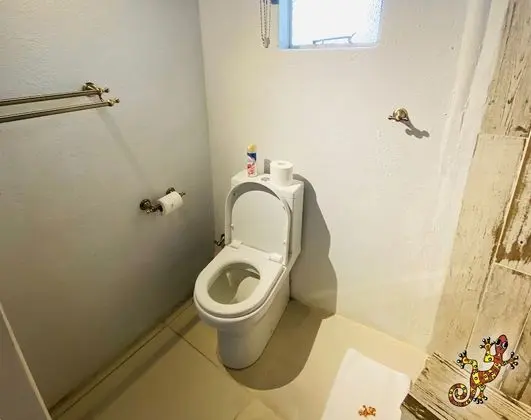 Luxury Oda, 1 Büyük (Queen) Boy Yatak, Banyolu/Duşlu, Nehir Manzaralı